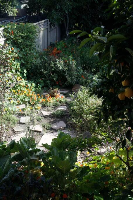 Beautiful, Historic Family Home Near Lake Merritt Oakland Buitenkant foto