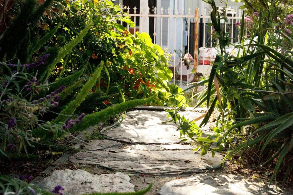 Beautiful, Historic Family Home Near Lake Merritt Oakland Buitenkant foto